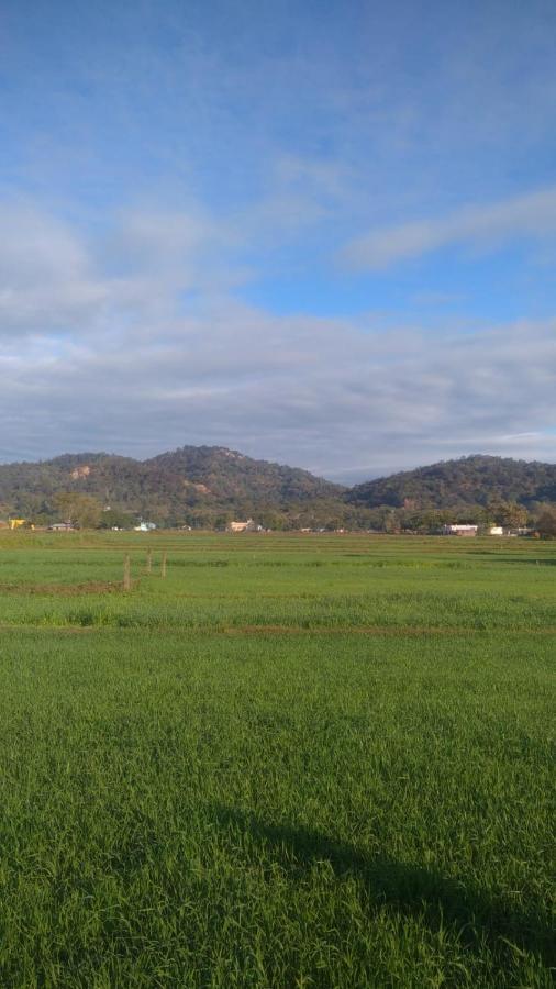 Corbett Bhavesh Home Stay Jhirna Exteriör bild